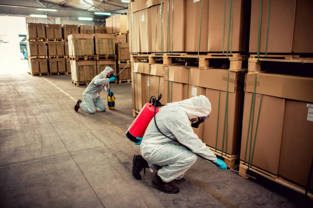 Best Pest Control Near Me in Park City, TN