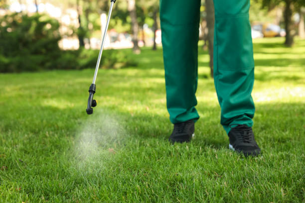 Best Pest Removal Services  in Park City, TN