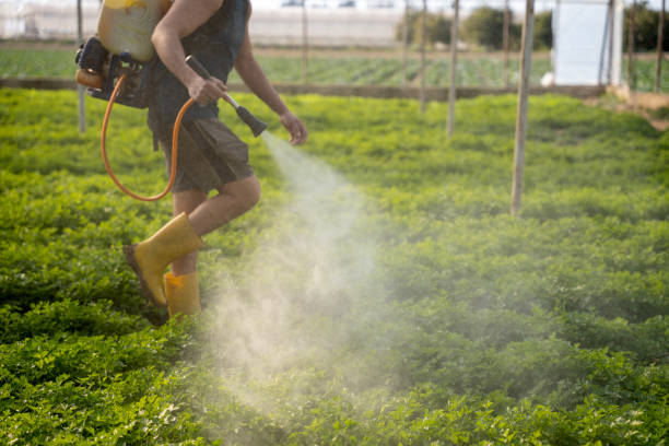 Best Best Pest Control Companies  in Park City, TN