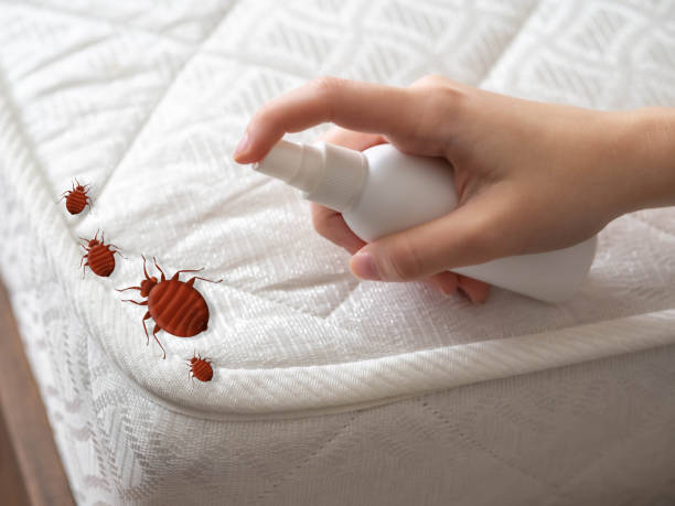 Best Pest Inspection Near Me  in Park City, TN