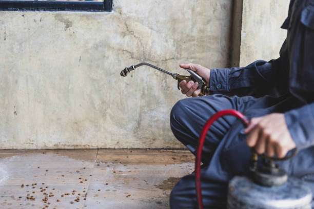 Best Wasp Removal Services  in Park City, TN